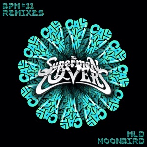 Call My Name (feat. Georges Sound) [Moonbird Remix]