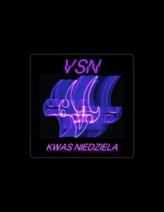 收听 VSN、观看音乐视频、阅读小传、查看巡演日期等 ！