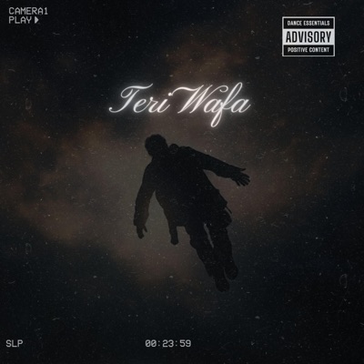Teri Wafa - Single