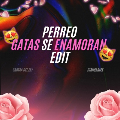 Perreo Gatas Se Enamoran (feat. JuancaRMX) [Remix] - Single