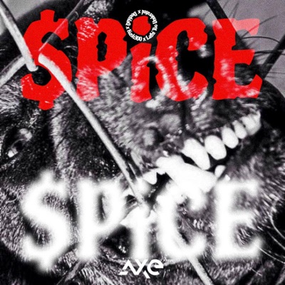 $pice (feat. DEEBLAQ & Lathi Too Underated) - Single