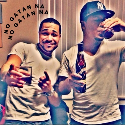 NO GATAN NA (feat. Feliboy) - Single