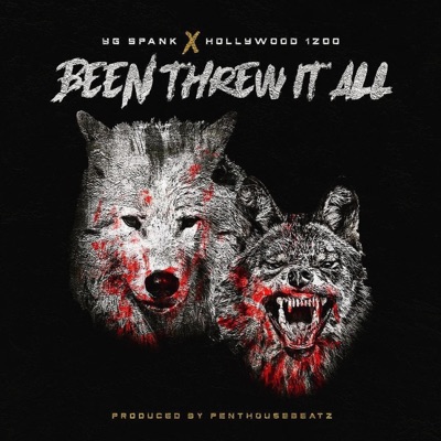 Been Therw It All (feat. Hollywood1200) - EP