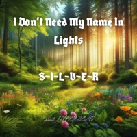 I Don't Need My Name in Lights - Single - S-I-L-V-E-R