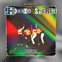 Sherehe Sheria (feat. Slick Ninja) - Single - Wasepe Music