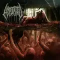 Repugnant Genital Deformity