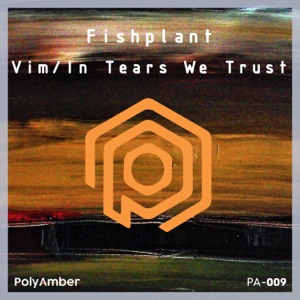 Vim / in Tears We Trust - EP