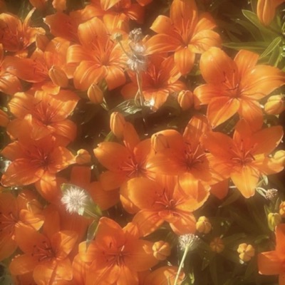 Shit Came Outta Nowhere! (feat. JZA) - Single