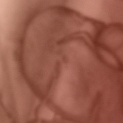 Munhu Wenyama (feat. Joos) - Single