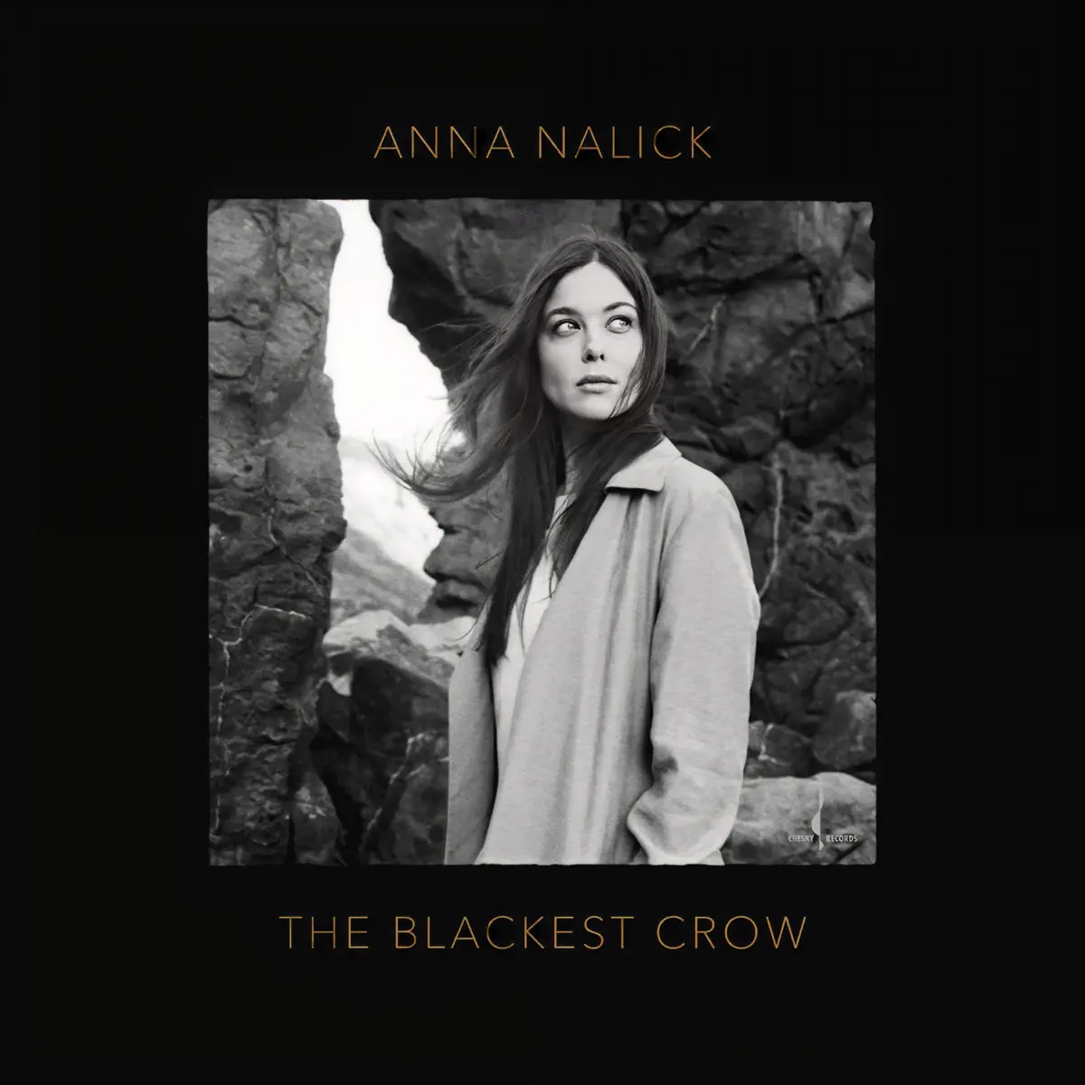 Anna Nalick - The Blackest Crow (2019) [iTunes Plus AAC M4A]-新房子