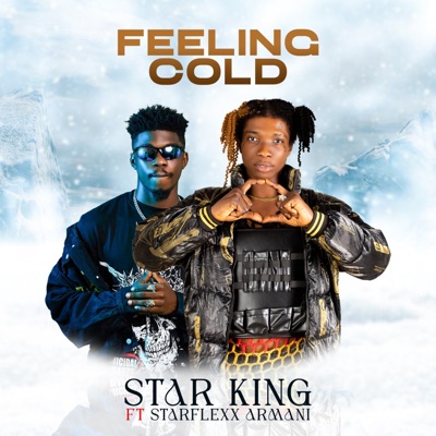 Feeling Cold (feat. Starflexx Armani) - Single