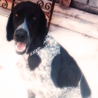 SABUESO - Single - VELARDE