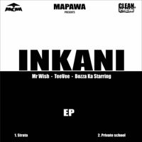 INKANI EP (feat. TeeVee & Mr Wish) - Single - Dj Mapawa