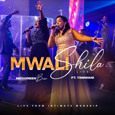 Mwalishila (feat. Minister Temwani) - EP