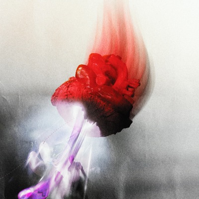 Love Scares - Single