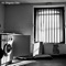 Awake For The Week - The Diogenes Club lyrics