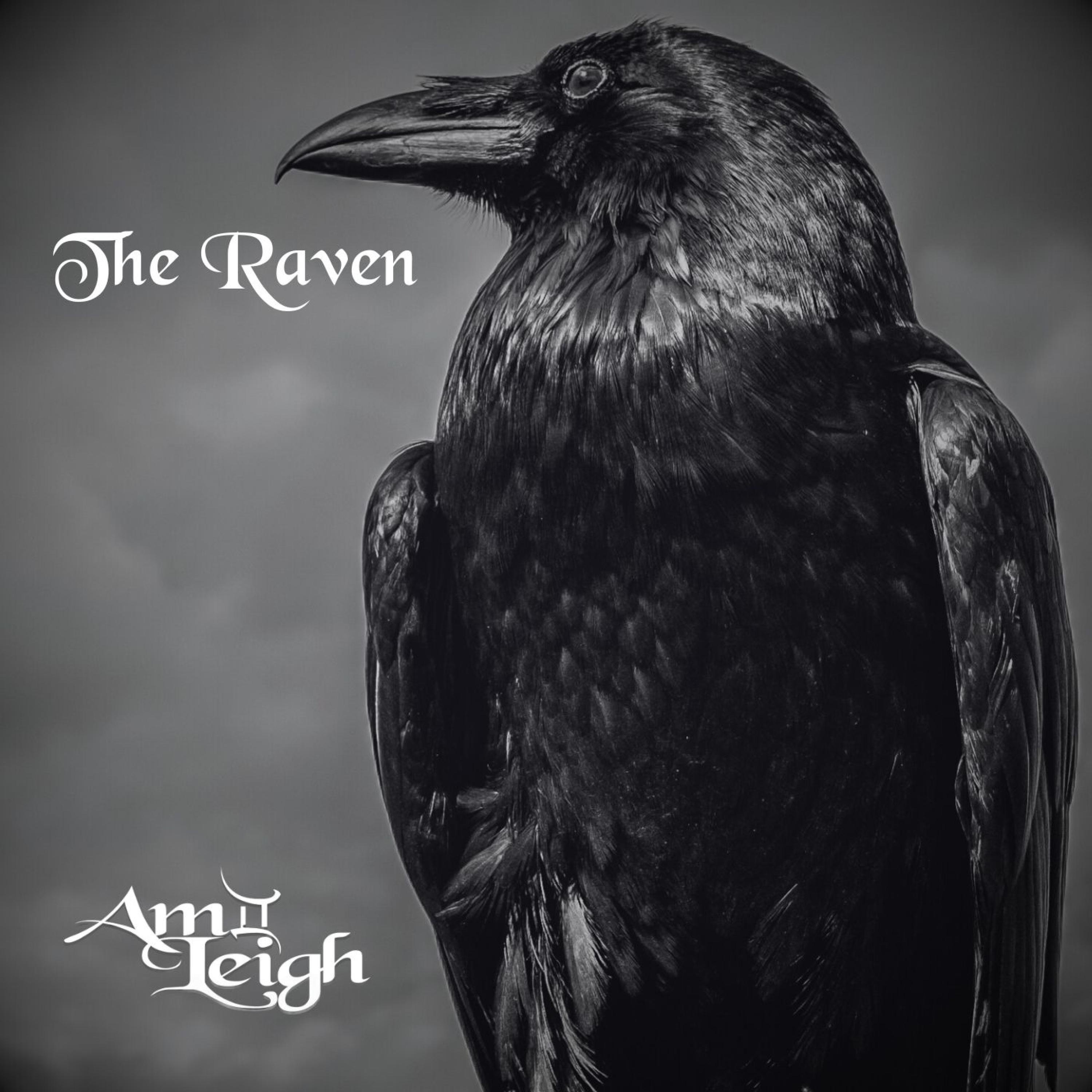 The Raven - Single