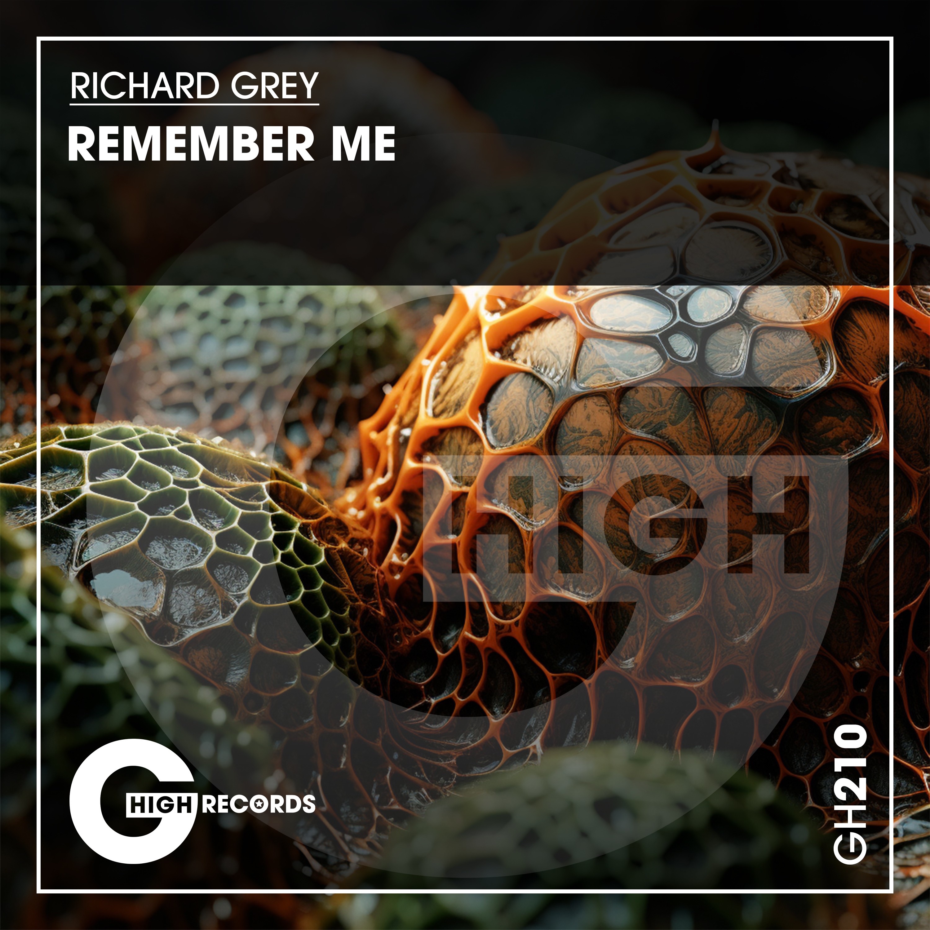Remember Me - Single