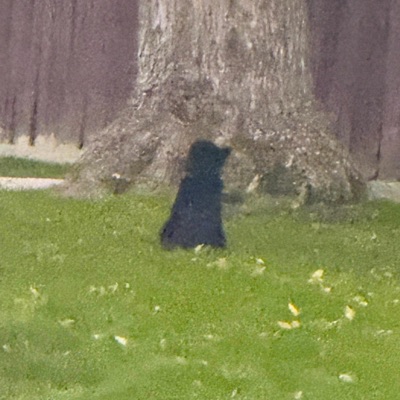 Different Now - Single