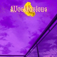 Investments - Single - Wocktavious