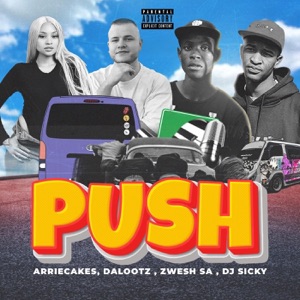 Push (feat. Zwesh SA, Dj Sicky & DaLootz)