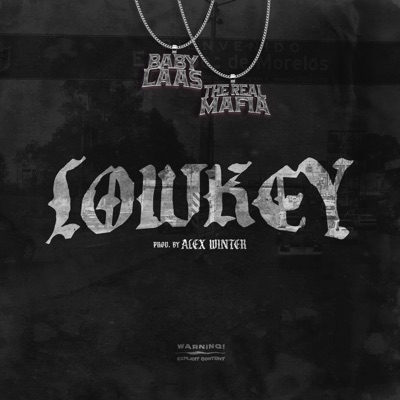 Lowkey - Single
