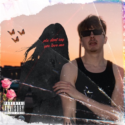 Plz Dont Say You Love Me - Single