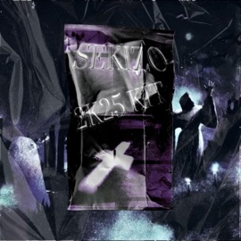 On The Floor (feat. Sekizo) Danny T.