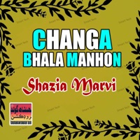 Changa Bhala Manhon - Single - Shazia Marvi