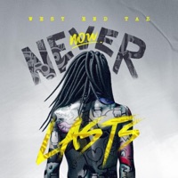 Now Never Lasts - West End Taz