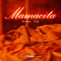 Mamacita (feat. Teejay) - Single - $tn Andrsn