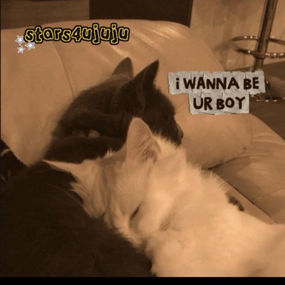 i wanna be ur boy (feat. Lana, 2xNICO, CBr, Ky'shawn & Mahrfp) - Single