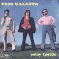 Estoy herido