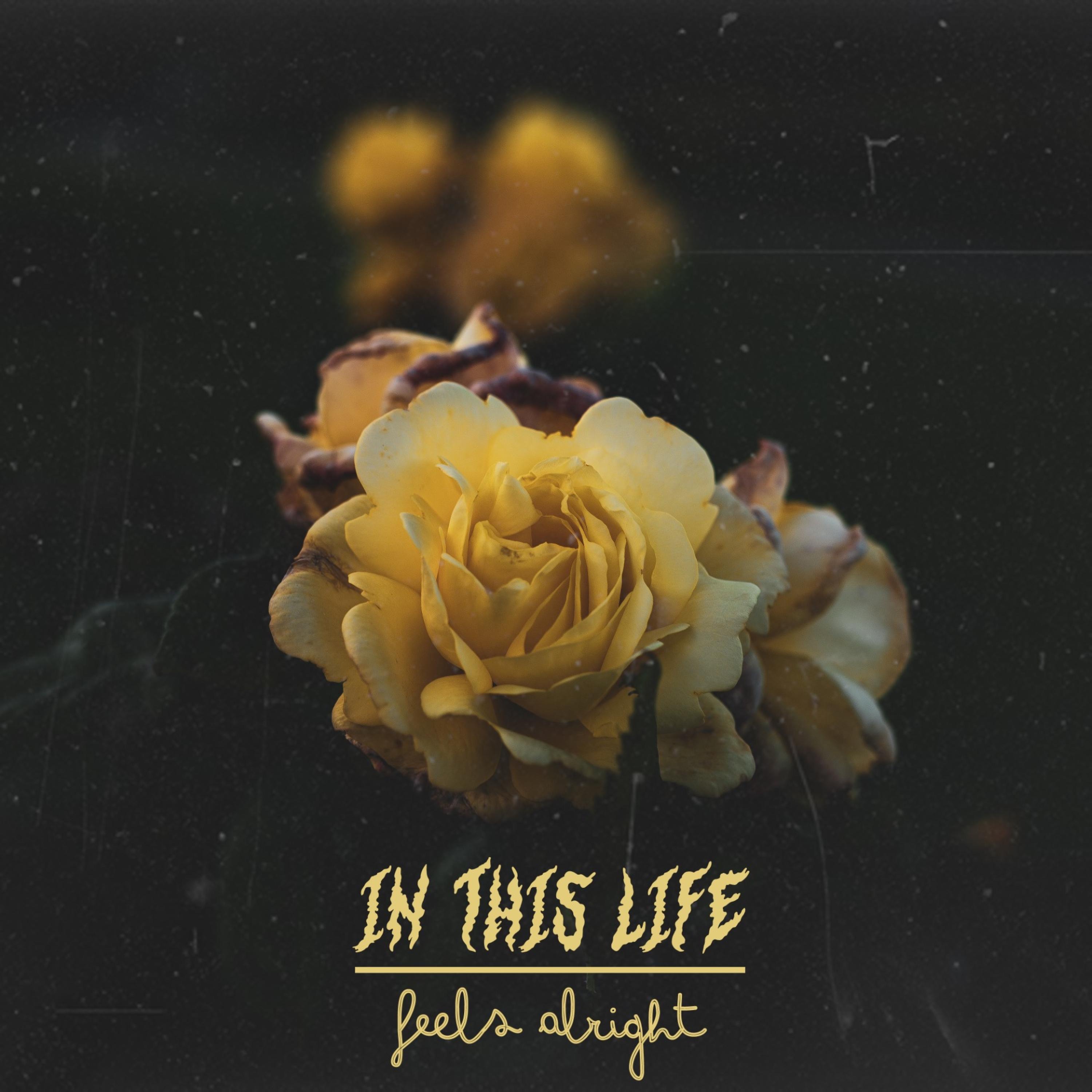 Feels Alright - Single