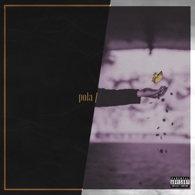 Pola/Pola