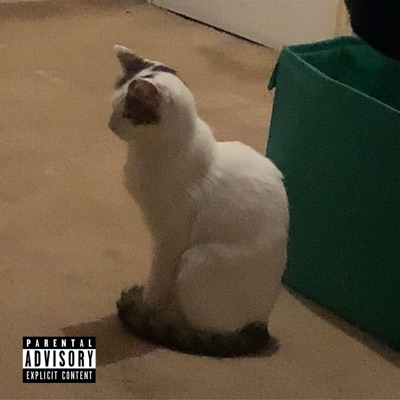 The Function - Single