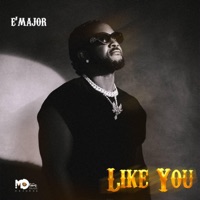Like You - Single - E'Major