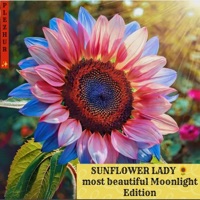 SUNFLOWER LADY (The most beautiful Moonlight Edition) - Single - PLEZHUR