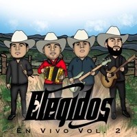 Album cover for Madonna (En Vivo) by Elegidos