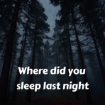 Where did you sleep last night - Single