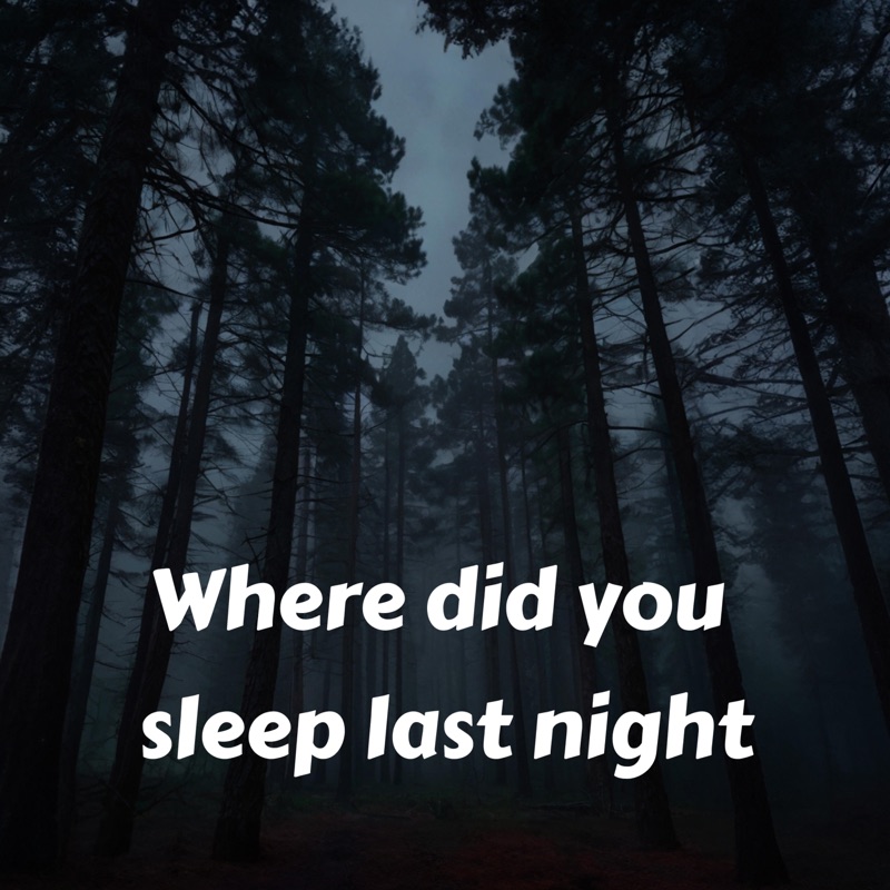 Where did you sleep last night - Single