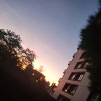 Dogged Out - Single - 2Late