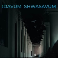 Idavum Shwasavum (feat. Noushad Ashraf) - Single - Faisal Razi