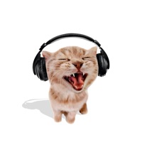 Miniskirts - Single - FXCETRIP