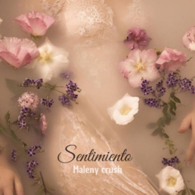 Sentimiento - Single