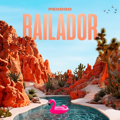 Bailador - Single