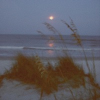 life is too short - Single - toned