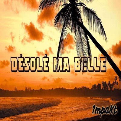 Désolé ma belle - Single