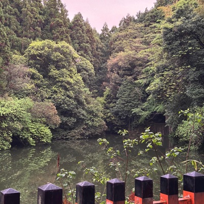 Need Your Love (Numb) - Single