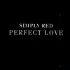 Simply Red - Perfect Love (Radio Version)